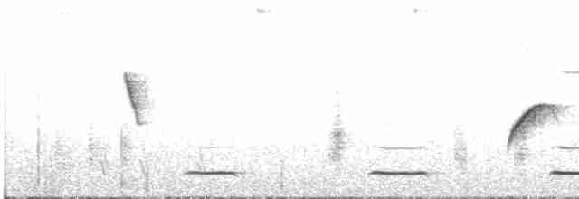 Сичик-горобець болівійський - ML600041391