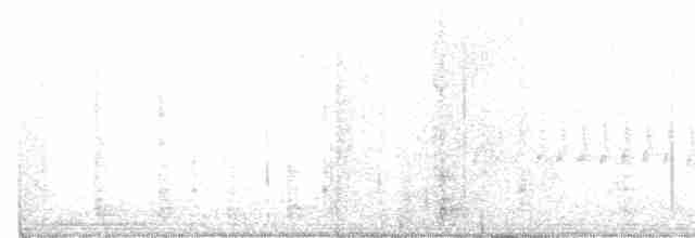 křivka bělokřídlá - ML600090891
