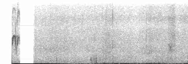 Perija Thistletail - ML600092461