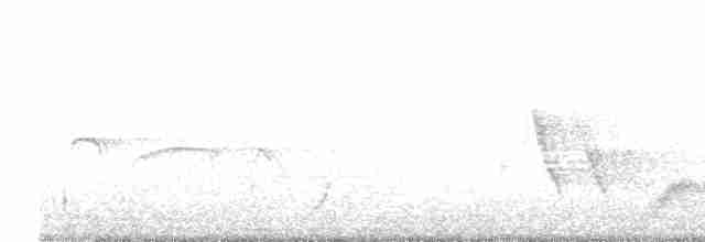 Çalılık Karatavuğu - ML600107461