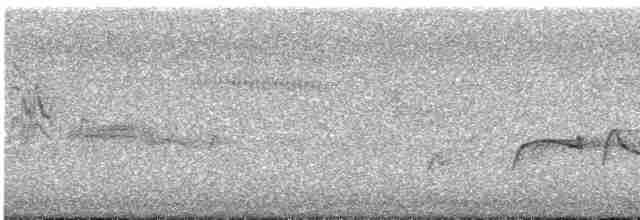 tyranovec severský - ML600111161