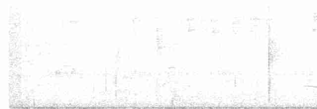 kakadu hnědohlavý - ML600117831