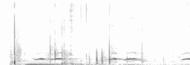 Streifenbartvogel - ML600125031