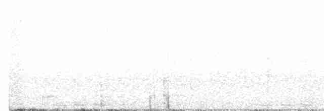 Black-billed Cuckoo - ML600125451