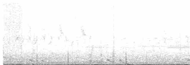 Black-billed Cuckoo - ML60014371