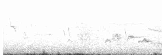 Bulbul orphée - ML600147011