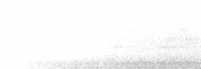 Скриточуб сичуанський - ML600148541
