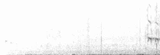 Светлобрюхий зимородок - ML600168751