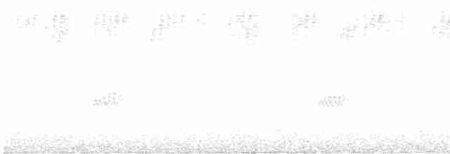チャイロツバメ - ML600170191