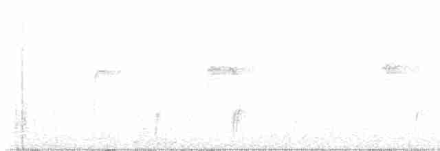 Дрізд-короткодзьоб Cвенсона - ML600174121