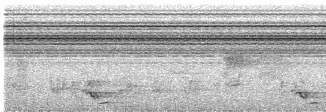 Black-tailed Oriole - ML600187311