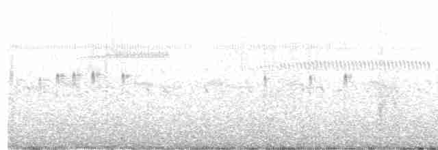 Schwarzstirn-Regenpfeifer - ML600188271