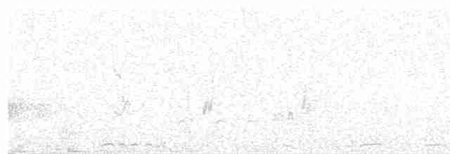 White-quilled Rock-Pigeon - ML600189661