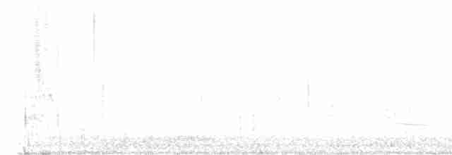Büyük Kuyruklu Kiskal - ML600191711