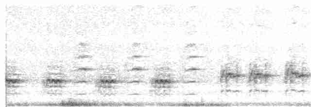 Great Reed Warbler - ML60019241