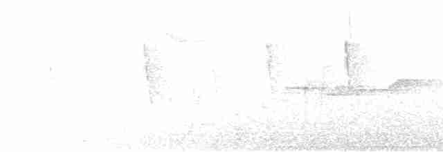 Канарниця сіроголова - ML600194081