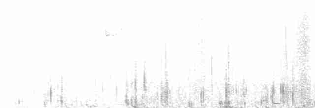 holub pruhoocasý - ML600203861