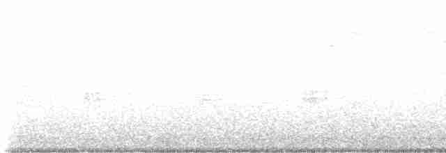 Каролинский крапивник - ML600215211