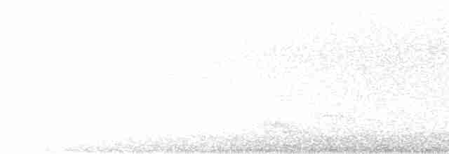Bant Kuyruklu Tırmaşıkkuşu - ML600224301