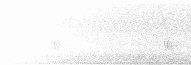 Чорноніжка жовточерева - ML600224471