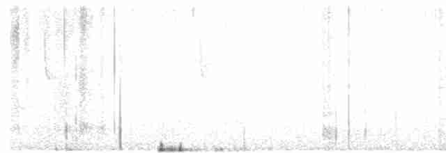 White-vented Violetear - ML600254781