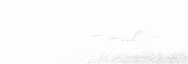 Bant Kuyruklu Tırmaşıkkuşu - ML600256171