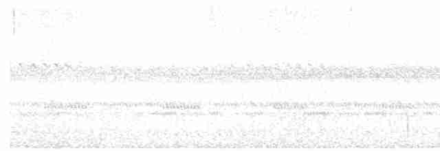 Pauraquenachtschwalbe - ML600268131