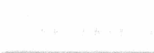 Шишкар ялиновий - ML600276331
