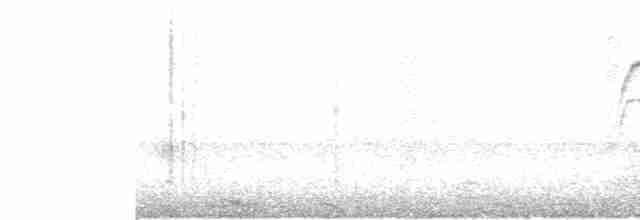 Длиннохвостый крапивник - ML600306231