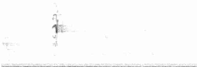 hvitsmykkehonningeter - ML600338661