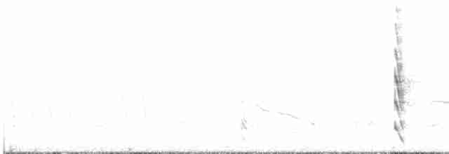 Australian Crake - ML600341601