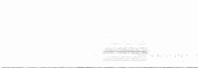 Schwarzbrust-Regenpfeifer - ML600341961