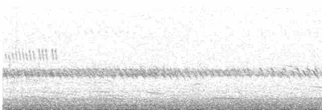 Black-shouldered Kite - ML600344341