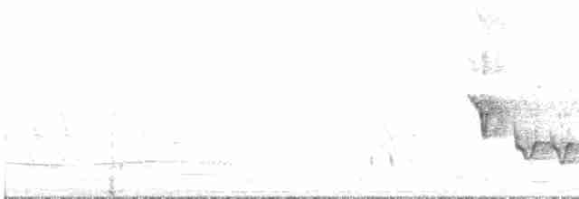 White-plumed Honeyeater - ML600347511