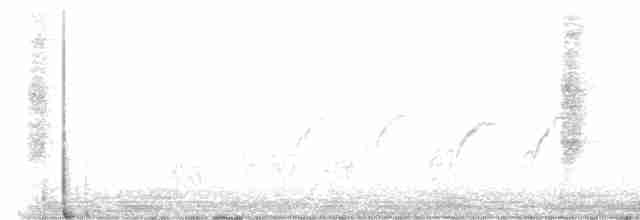 White-banded Mockingbird - ML600375781