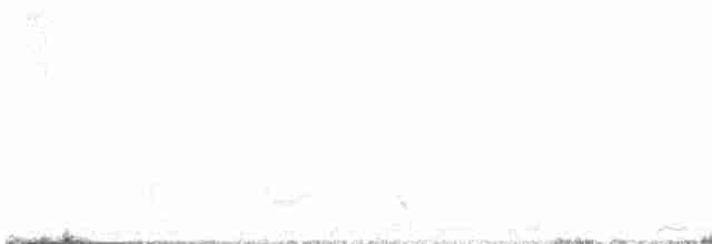 Kara Kanatlı Yer Kumrusu - ML600383511