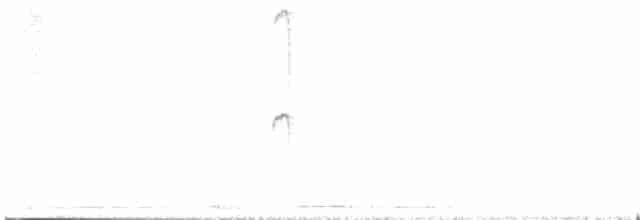 Исполинский колибри - ML600412491