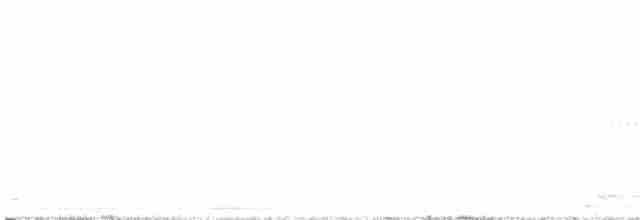 Исполинский колибри - ML600413491
