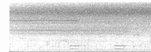 灰腳秧雞 - ML600421491