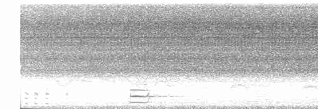 灰腳秧雞 - ML600421511
