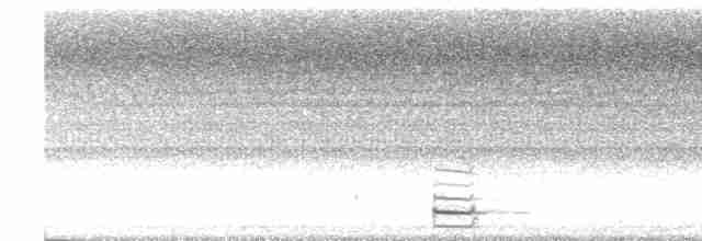 灰腳秧雞 - ML600421521