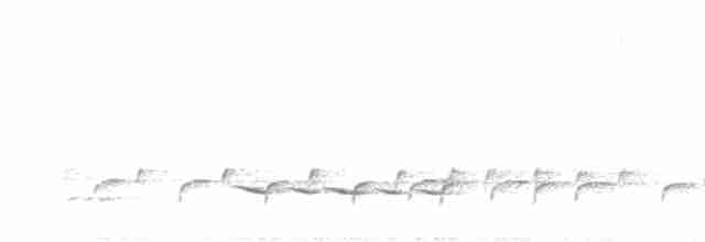 Желтогрудый гладиатор [группа zeylonus] - ML600430941