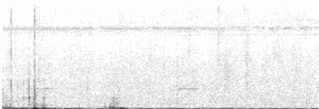 Белобровый дятелок - ML600452621