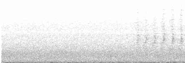 furuskrike (diademata gr.) - ML600472121