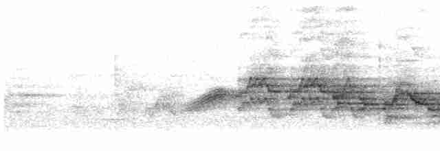 Дрізд-короткодзьоб бурий - ML600497831
