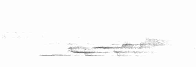 Дрізд-короткодзьоб плямистоволий - ML600499441