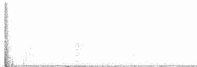 Common Gallinule - ML600503601