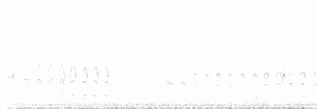 Black-bellied Antwren - ML600572061