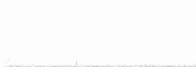 Geai à nuque blanche - ML600572171