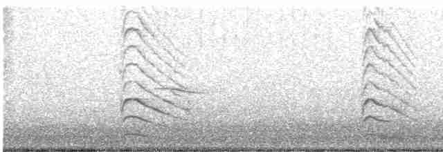Дятел-смоктун білочеревий - ML600572241